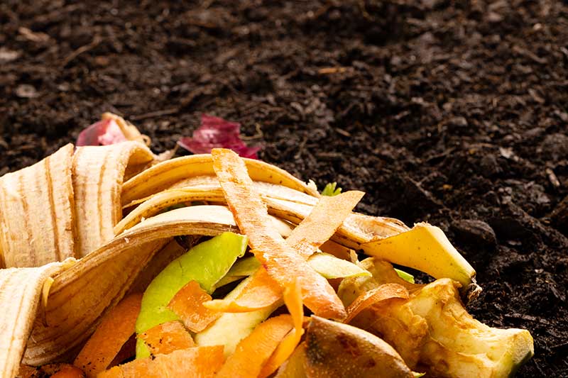 fruit-and-vegetable-waste-for-composting